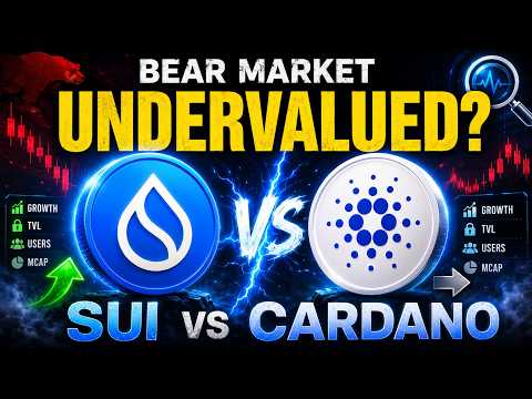 🔥Cardano (ADA) vs Sui (SUI): Data On-Chain Menunjukkan ONE Sangat Mahal