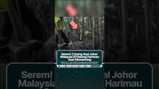 Serem 2 Orang Asal Johor Malaysia Di Datangi Harimau Saat Memancing