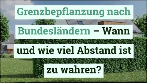 Wie hoch darf eine Hecke auf der Grenze in NRW sein?