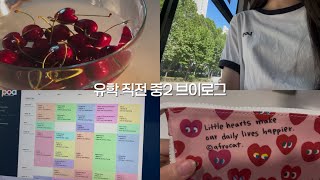 출국 직전, 중2 일상 브이로그ㅣ유학 준비 브이로그