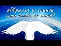 Крылья за спиной есть всегда со мной? (Ангельский Подарок для души так сладок!)