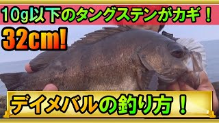 【デイメバル釣り方】良型メバルを日中堤防で釣るコツ！