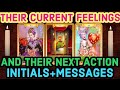 Their Current Feelings for You | Next Action | Their Messages | Future - Timeless Tarot Reading 🥳🥰