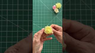 Easy DIY Flowers Anyone Can Try Today!
