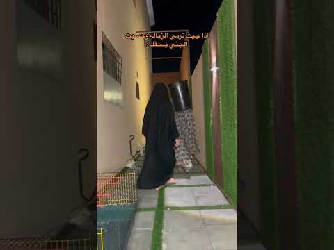 ام محمد ما يخوفها شي السعودية Shortvideo ميتو الشامسي Tiktok Cat