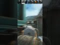 chirps arena montage