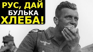 «Эй, Рус, на автомат, дай булька хлеб!» Немцы в Сталинграде. Военные Истории