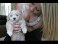 CUTEST PUPPY EVER!?! (DOG)