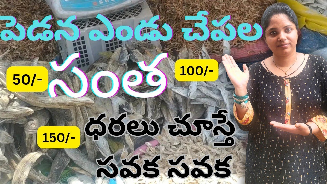 Dryfish సoత పెడన  #DryFishMarket #SeafoodBusiness #FishTrade #LocalMarket #SeafoodLovers #Fisheries