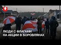 Люди с флагами в Боровлянах днем 20 декабря