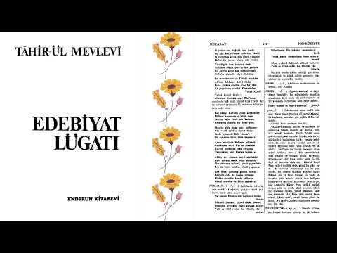 NESİR NEDİR? | Edebiyat Lügati | Tahir-ül Mevlevi | N Harfi