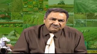 Agricultural Business Management 06   ABM   INTRODUCING AGRIBUSINESS