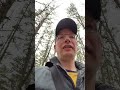 idźcie na spacer do lasu!!!!1