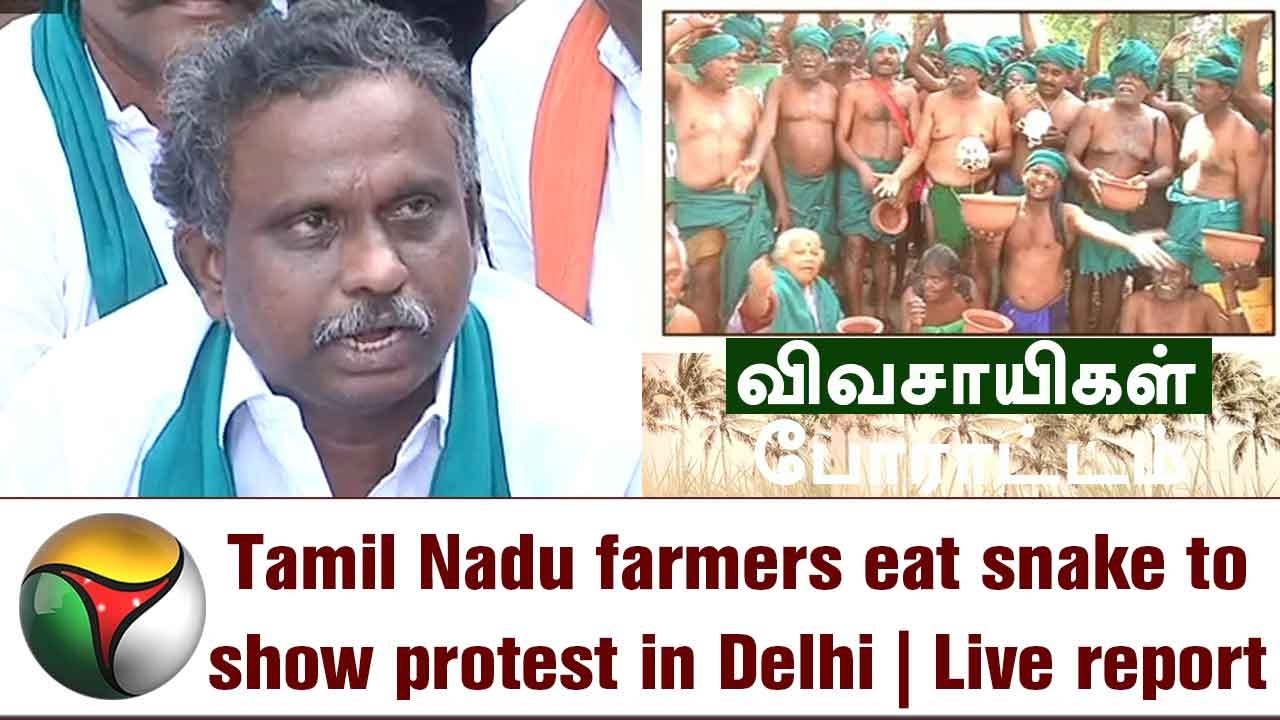 Tamil Nadu farmers eat snake to show protest in Delhi | Live report ...