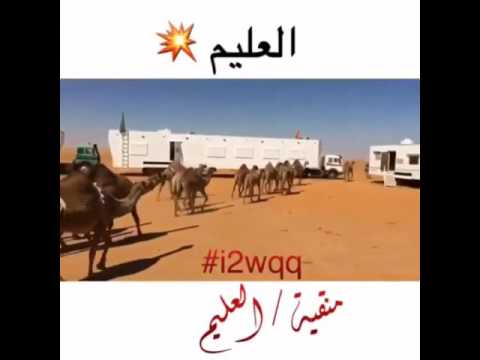 منقية محمد العليم الحميداني