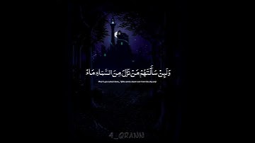 تلاوة هادئه 🌾 | الآية ٦٣ من سورة العنكبوت | تلاوة القارئ عبدالرحمن مسعد