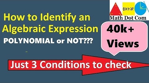 How to Identify if Algebraic Expression is Polynomial or Not | Algebra | Math Dot Com