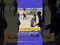 في مشهد صادم فرد أمن أجنبي يلقي قنبلة دخانية على منتظري المساعدات في قطاع غزة في مشهد صادم فرد أمن أجنبي يلقي قنبلة دخانية على منتظري المساعدات في قطاع غزة