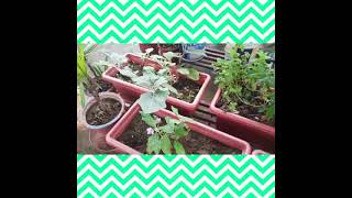 Gardening
