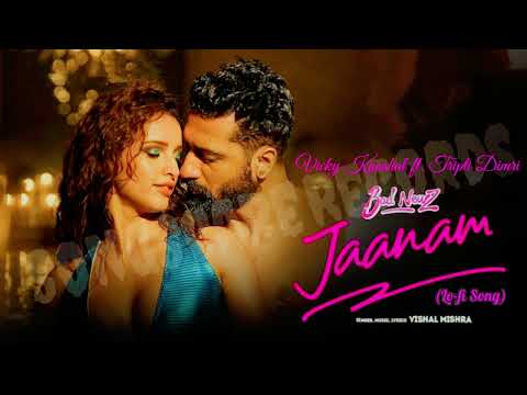 Jaanam | Bad Newz | Vicky Kaushal | Tripti Dimri | Vishal Mishra | Latest Song 2024
