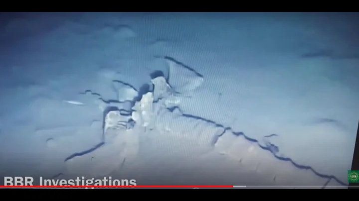The Remains of a Strange Creature Found On The Oce...