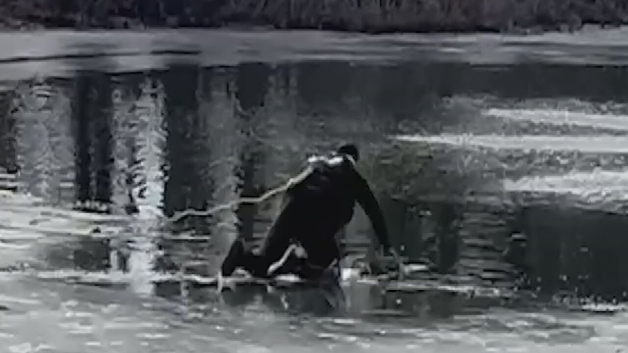 New Jersey Police officer rescues border collie after it fell into icy ...