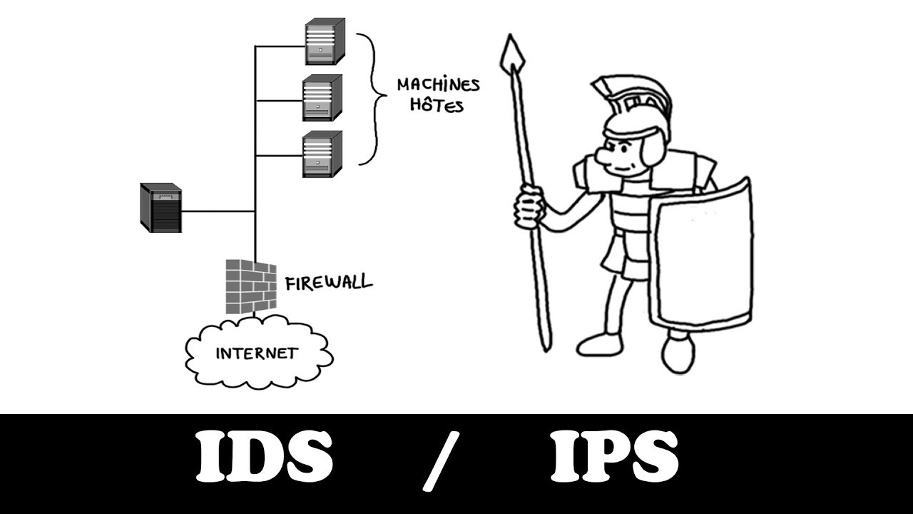 IDS  IPS expliqus en dessins