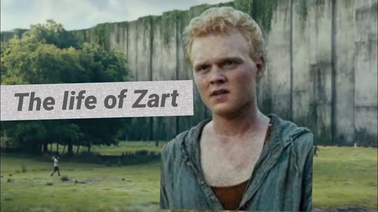 Zart Maze Runner Zart Maze Runner
