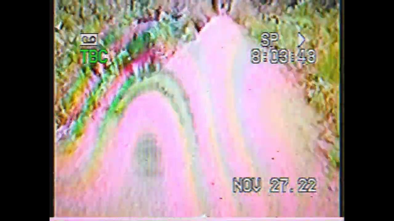 THE LITTLE SHIH IN TOMAHAWK WI YouTube