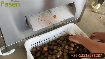 PSQH-500 Plum Pitting Machine from Vivian +86 13213238287