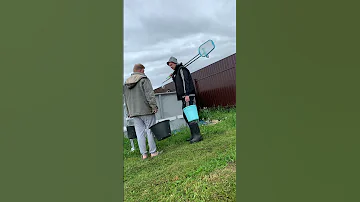 В нашем бассейне жили лягушки