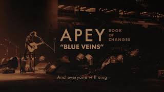 Aron Andras - Blue Veins (Official Audio)