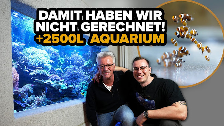 We didn't expect this! - 2500L AQUARIUM + SURPRISE