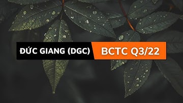 Đọc hiểu BCTC Quý 3/2022 của Công ty Cổ phần Tập đoàn Hóa chất Đức Giang (DGC)