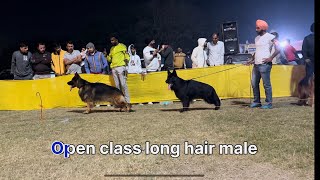 Rohtak Dog Show || German shepherd Speciality #gsdshow