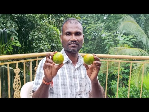EVENING unique village ASMR is live
