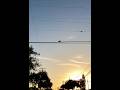 Tailess the Squirrel 2 years ago today on the Squirrel Wire Super Highway #animals #memories #love