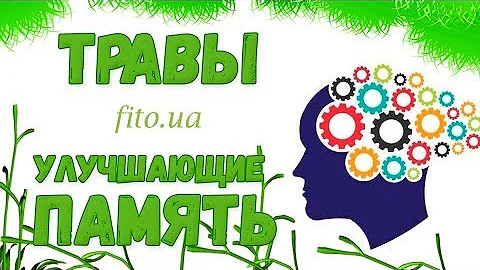 Плохая память? Какие травы помогут?