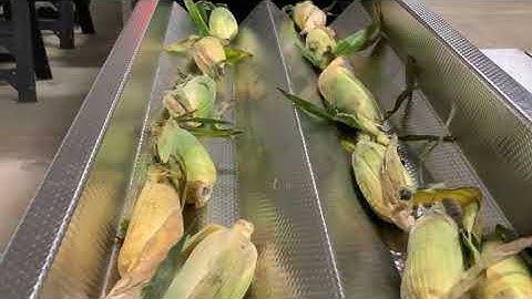 PROEX FOOD Vibratory Corn Laning