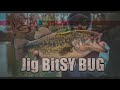 Strike king bitsy bug garza
