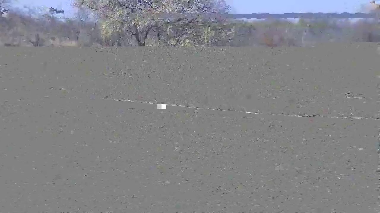 djuma private game reserve live stream youtube djuma private game reserve live stream youtube