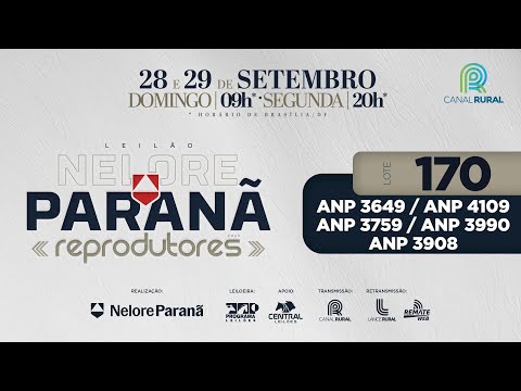 LOTE   170 ANP 3908 3990 3649 4109 3759