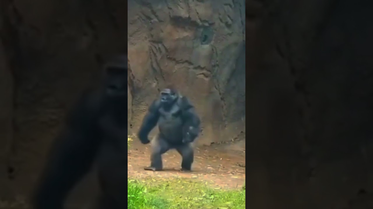 Dove fuggi? In Calabria 