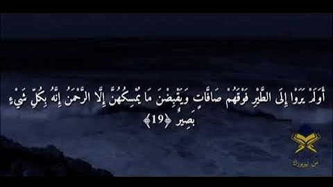 سورة الملك كاملة بصوت القارئ ابراهيم علي عامر