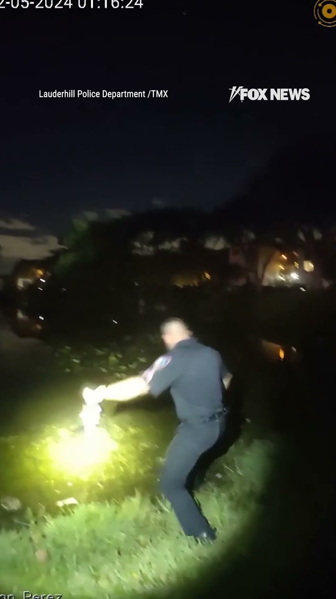 Police rescue 3-year-old from cold lake after toddler wandered off
