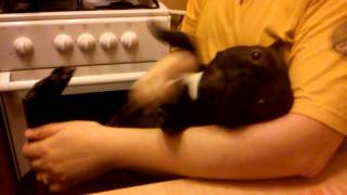 VID_20111028_203441.mp4