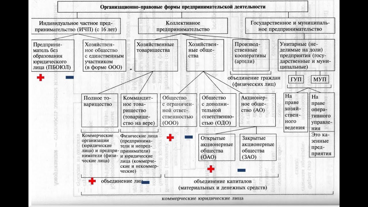 Сложный план по теме организационно правовые формы. Организационно-правовые формы юридических лиц ЕГЭ. Формы организации бизнеса Обществознание ЕГЭ. Организационно правовые формы ЕГЭ Обществознание. Организации правовые формы предпринимательской деятельности.