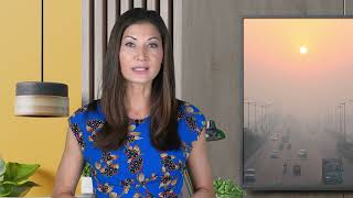 Heatwaves in air quality