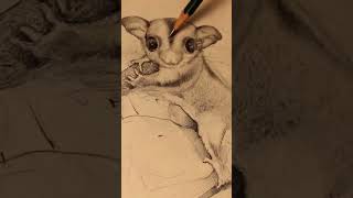 Pencil Shading Technique For Insane Realism