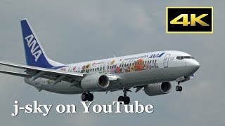 [4K] All Nippon Airways - ANA Boeing 737 \